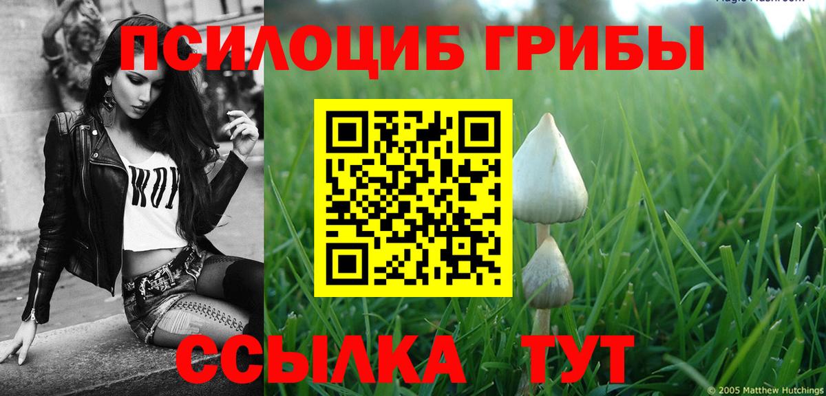 Псилоцибиновые грибы мицелий Норильск