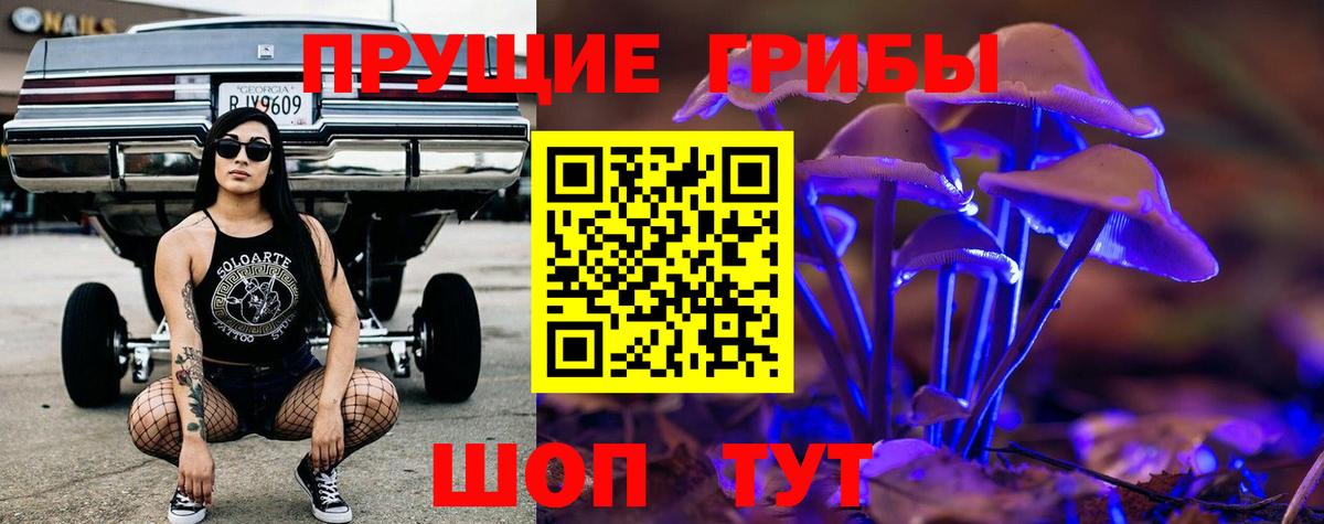 Галлюциногенные грибы Magic Shrooms  Вход с VPN  Норильск  наркотики  Галлюциногенные грибы Cubensis 
